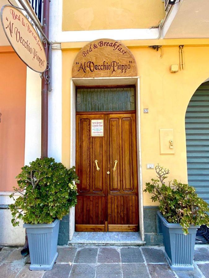 Al Vecchio Pioppo Bed & Breakfast Praia a Mare Eksteriør bilde