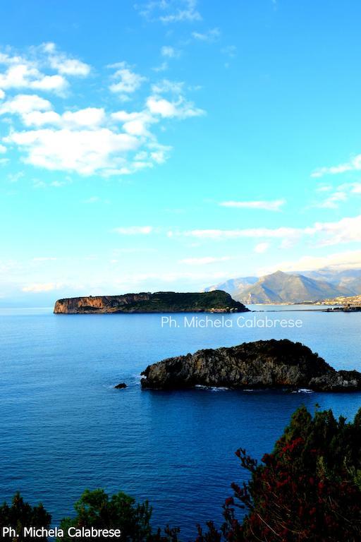 Al Vecchio Pioppo Bed & Breakfast Praia a Mare Eksteriør bilde