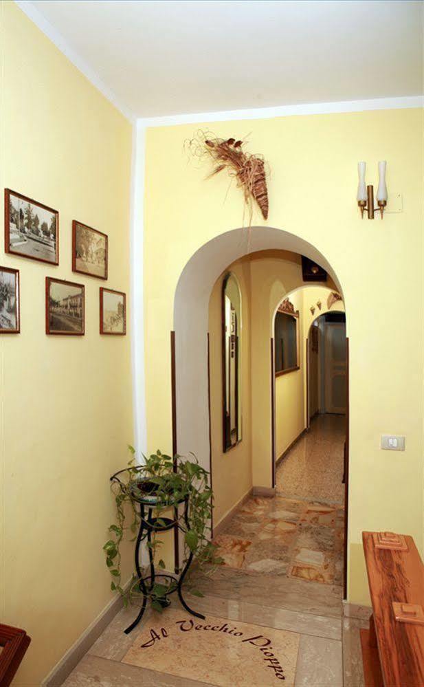 Al Vecchio Pioppo Bed & Breakfast Praia a Mare Eksteriør bilde